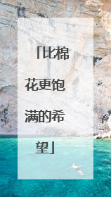 比棉花更饱满的希望