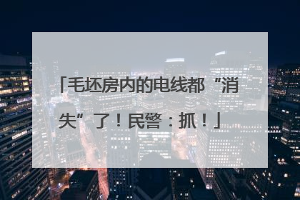 毛坯房内的电线都“消失”了！民警：抓！