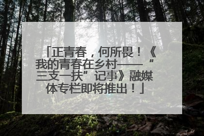 正青春，何所畏！《我的青春在乡村——“三支一扶”记事》融媒体专栏即将推出！