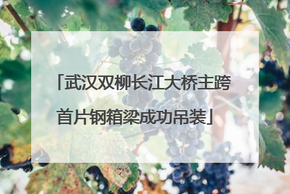 武汉双柳长江大桥主跨首片钢箱梁成功吊装