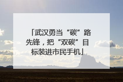 武汉勇当“碳”路先锋，把“双碳”目标装进市民手机
