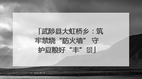 武陟县大虹桥乡：筑牢禁烧“防火墙” 守护夏粮好“丰”景