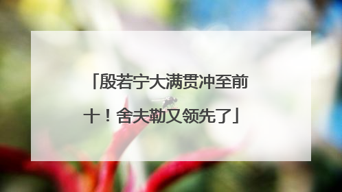 殷若宁大满贯冲至前十！舍夫勒又领先了