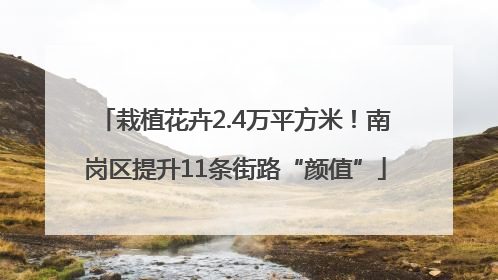 栽植花卉2.4万平方米！南岗区提升11条街路“颜值”