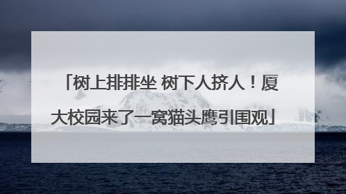 树上排排坐 树下人挤人！厦大校园来了一窝猫头鹰引围观