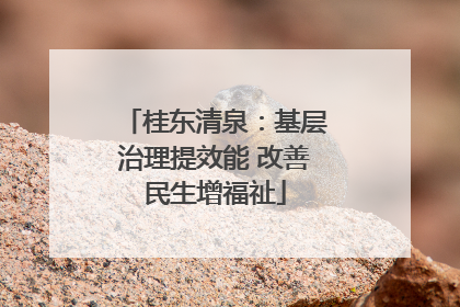 桂东清泉：基层治理提效能 改善民生增福祉