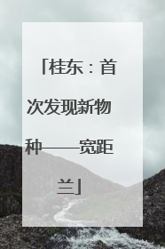桂东：首次发现新物种——宽距兰