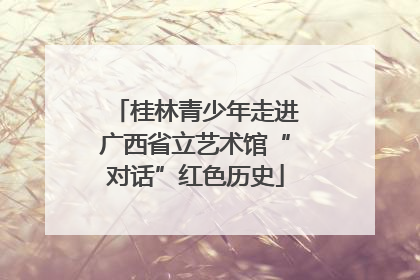 桂林青少年走进广西省立艺术馆“对话”红色历史