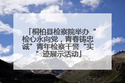 桐柏县检察院举办“检心永向党，青春铸忠诚”青年检察干警“实”迹展示活动