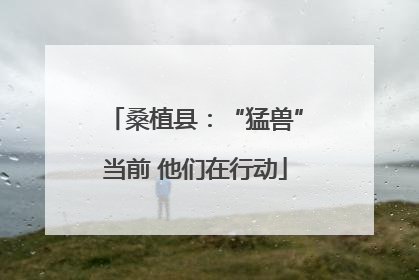 桑植县:“猛兽”当前 他们在行动
