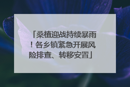 桑植迎战持续暴雨！各乡镇紧急开展风险排查、转移安置