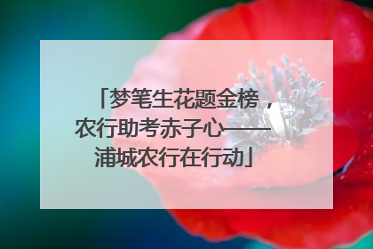 梦笔生花题金榜，农行助考赤子心——浦城农行在行动
