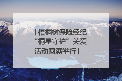 梧桐树保险经纪“桐星守护”关爱活动圆满举行