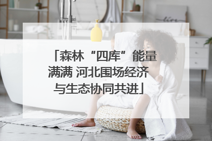 森林“四库”能量满满 河北围场经济与生态协同共进