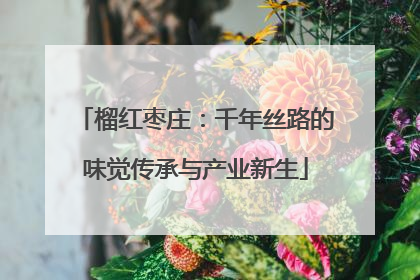 榴红枣庄：千年丝路的味觉传承与产业新生