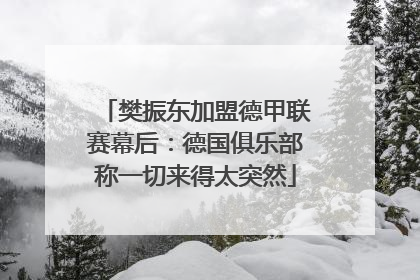 樊振东加盟德甲联赛幕后：德国俱乐部称一切来得太突然