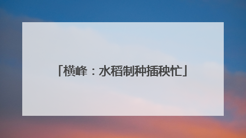 横峰：水稻制种插秧忙