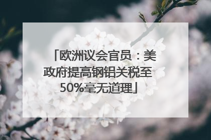 欧洲议会官员：美政府提高钢铝关税至50%毫无道理
