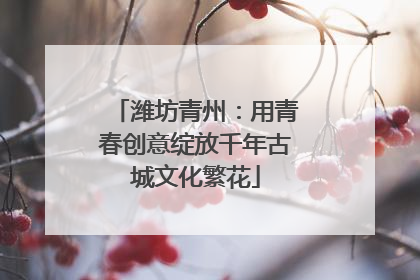 潍坊青州：用青春创意绽放千年古城文化繁花