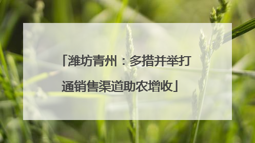 潍坊青州：多措并举打通销售渠道助农增收