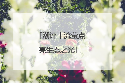 潮评丨流萤点亮生态之光