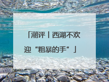 潮评丨西湖不欢迎“粗暴的手”