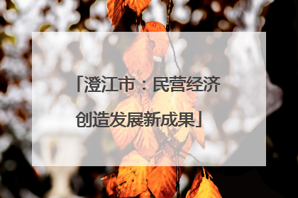 澄江市：民营经济创造发展新成果