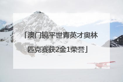 澳门镜平世青英才奥林匹克赛获2金1荣誉