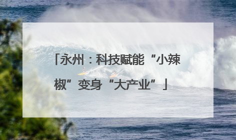 永州：科技赋能“小辣椒”变身“大产业”