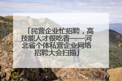 民营企业忙招聘，高技能人才很吃香——河北省个体私营企业网络招聘大会扫描