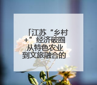江苏“乡村+”经济破圈 从特色农业到文旅融合的多元实践