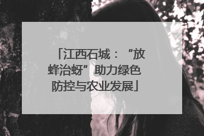 江西石城：“放蜂治蚜”助力绿色防控与农业发展