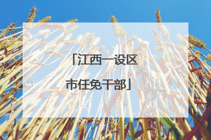 江西一设区市任免干部