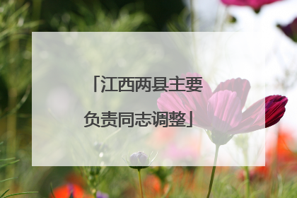 江西两县主要负责同志调整