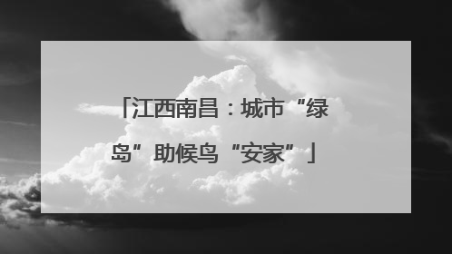 江西南昌：城市“绿岛”助候鸟“安家”