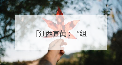 江西宜黄：“组合拳”打出政务服务“升级版”