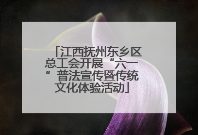 江西抚州东乡区总工会开展“六一”普法宣传暨传统文化体验活动
