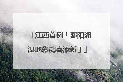 江西首例！鄱阳湖湿地彩鹮喜添新丁