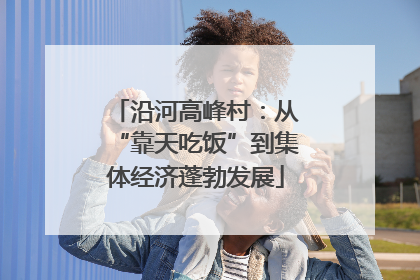 沿河高峰村：从“靠天吃饭”到集体经济蓬勃发展