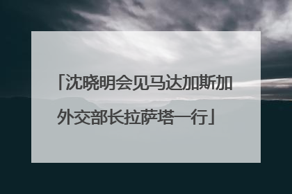 沈晓明会见马达加斯加外交部长拉萨塔一行