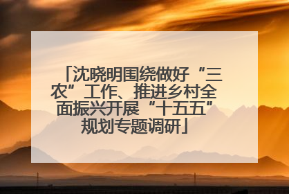 沈晓明围绕做好“三农”工作、推进乡村全面振兴开展“十五五”规划专题调研