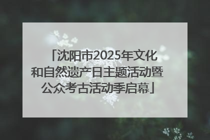 沈阳市2025年文化和自然遗产日主题活动暨公众考古活动季启幕