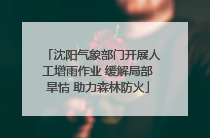 沈阳气象部门开展人工增雨作业 缓解局部旱情 助力森林防火