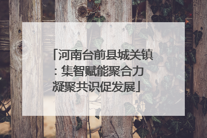 河南台前县城关镇：集智赋能聚合力 凝聚共识促发展