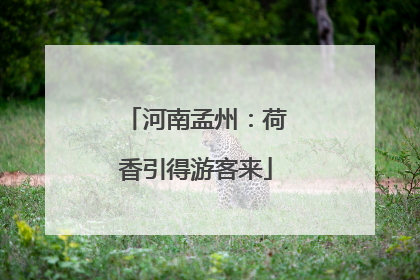 河南孟州：荷香引得游客来