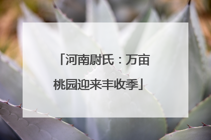 河南尉氏：万亩桃园迎来丰收季
