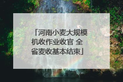 河南小麦大规模机收作业收官 全省麦收基本结束