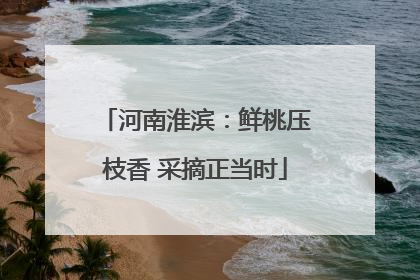 河南淮滨:鲜桃压枝香 采摘正当时
