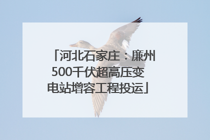 河北石家庄：廉州500千伏超高压变电站增容工程投运
