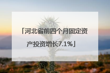 河北省前四个月固定资产投资增长7.1%